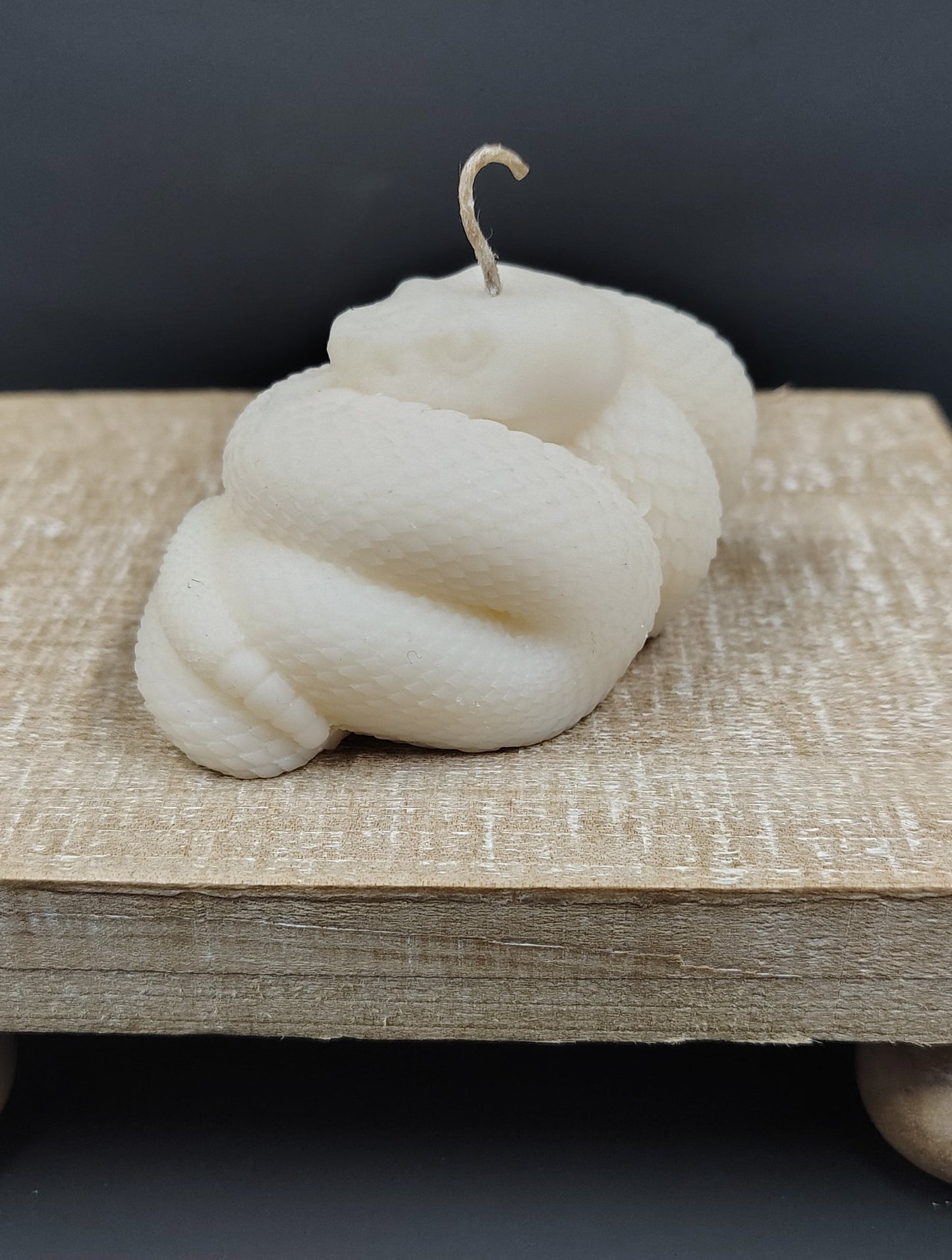 Coiled snake candle with detailed serpent design, handmade in Sioux Falls, SD.