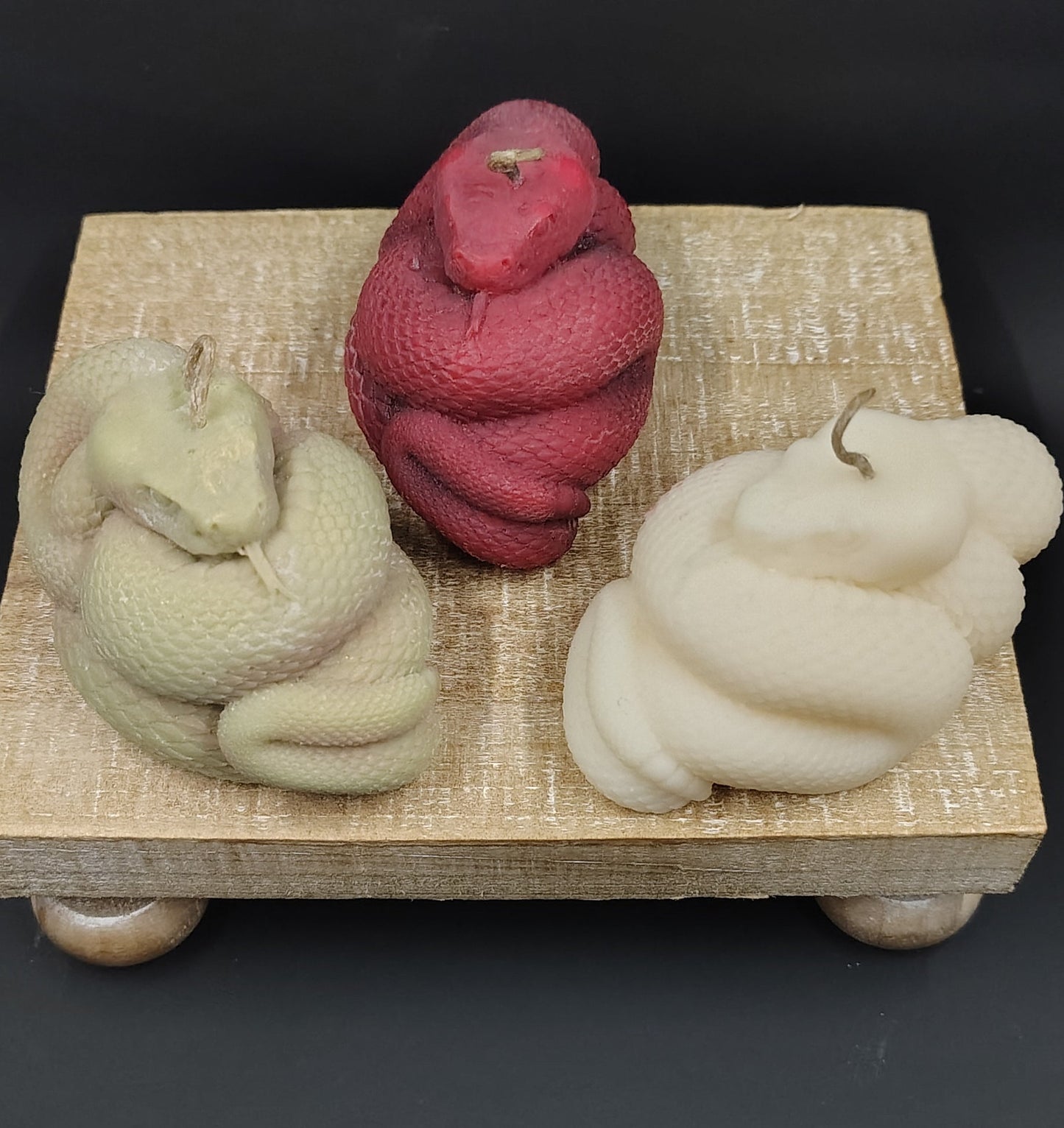 Coiled snake candle with detailed serpent design, handmade in Sioux Falls, SD.