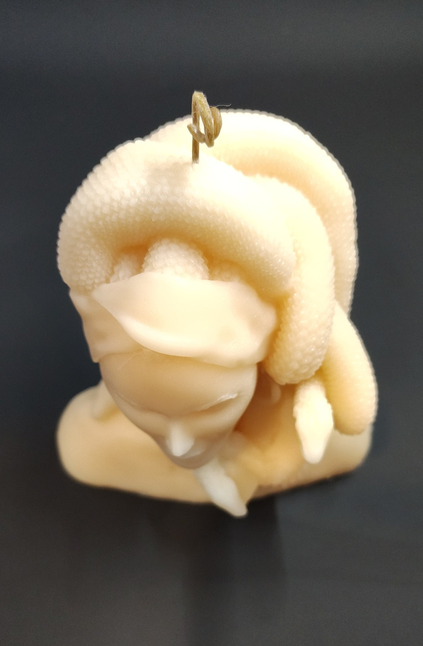 Hand‑poured Medusa bust candle with sculptural detailing, made in Sioux Falls, SD.